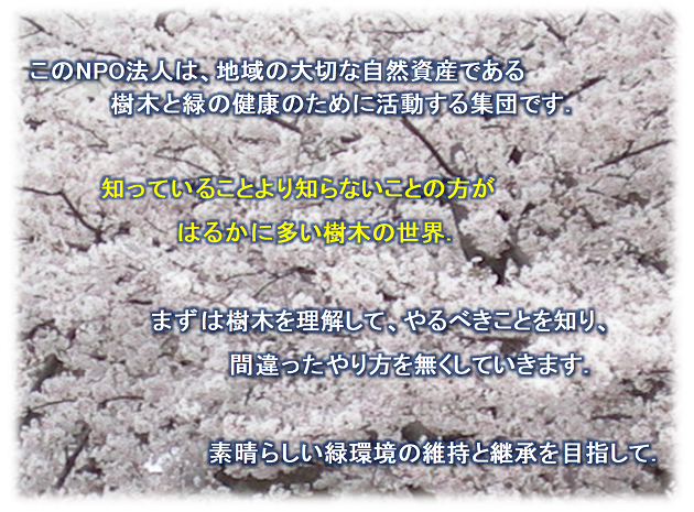 特定非営利活動法人兵庫県樹木医会 Home